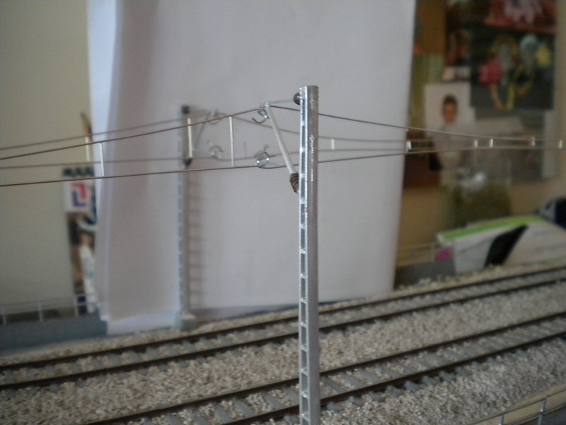 DSCN0530.JPG