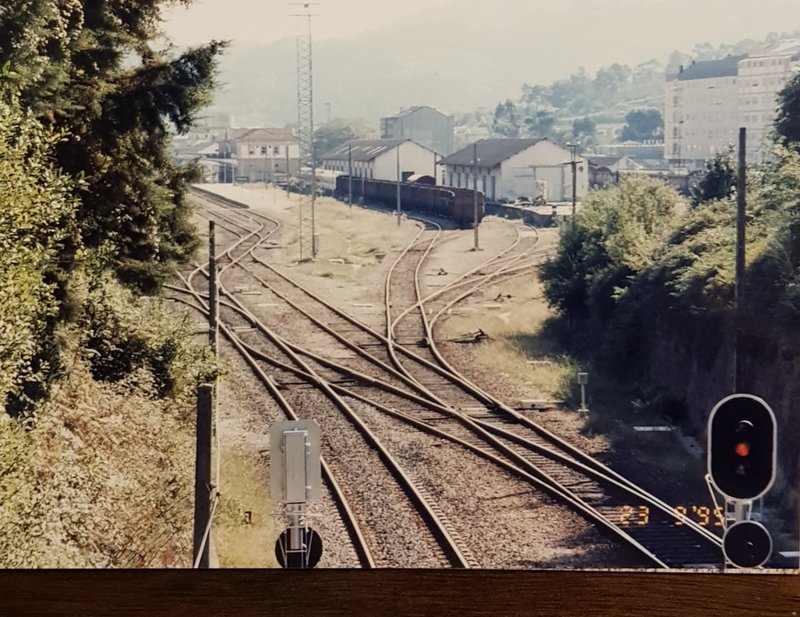 20190517_130503.jpg