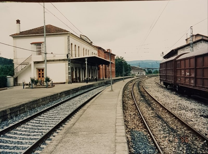 20190517_133205.jpg