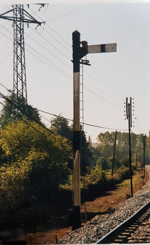 20190523_194705.jpg