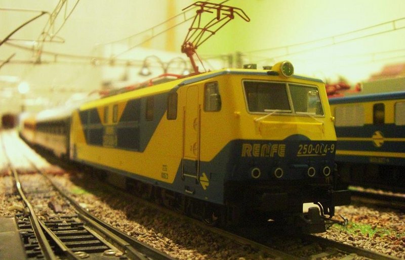 CIMG9993.JPG