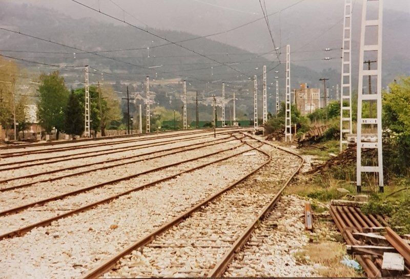 20190609_231724.jpg