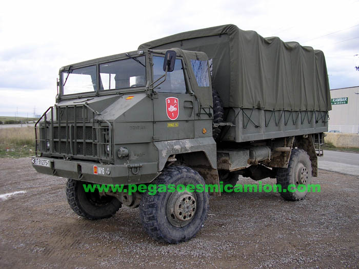 PEGASO RIMZ 16.jpg