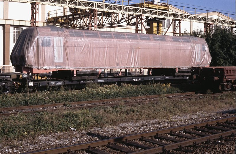 6976.jpg
