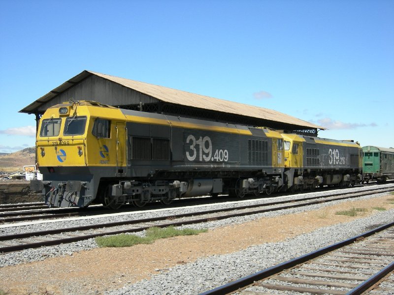 319.JPG