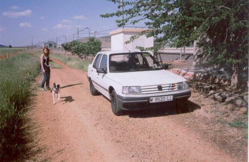 309ptll.JPG