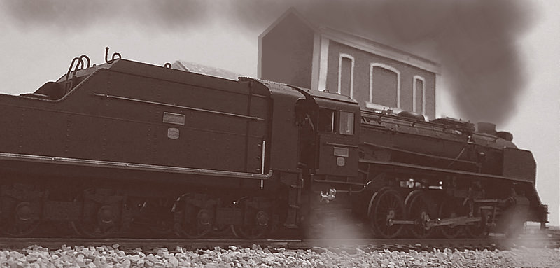 25052019216.JPG