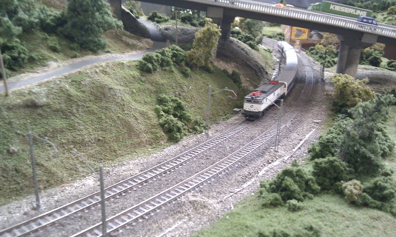 IMAG0102.jpg