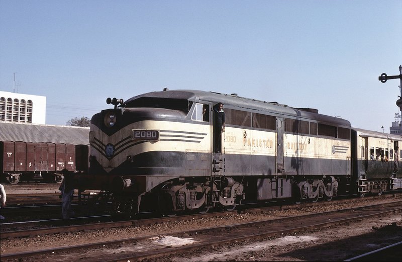 9130.jpg