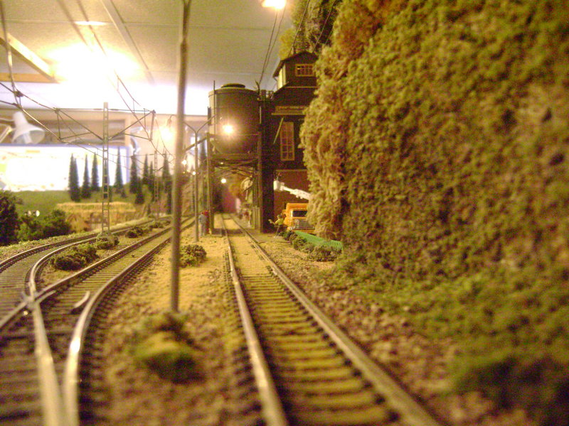 trenes-2 167.JPG