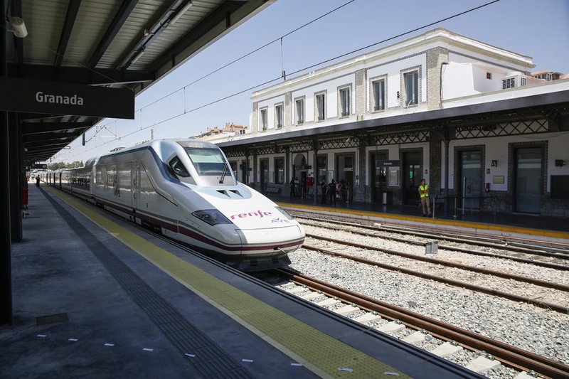 ave-granada-alex-camara.jpg