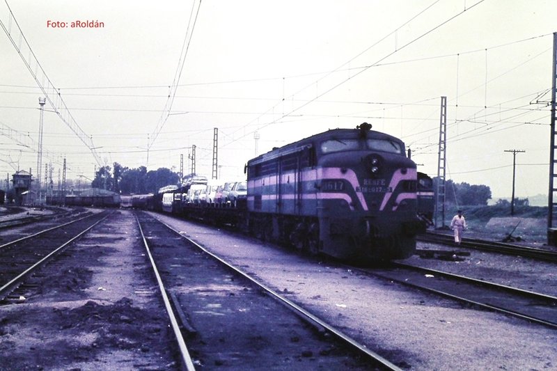 9154.jpg