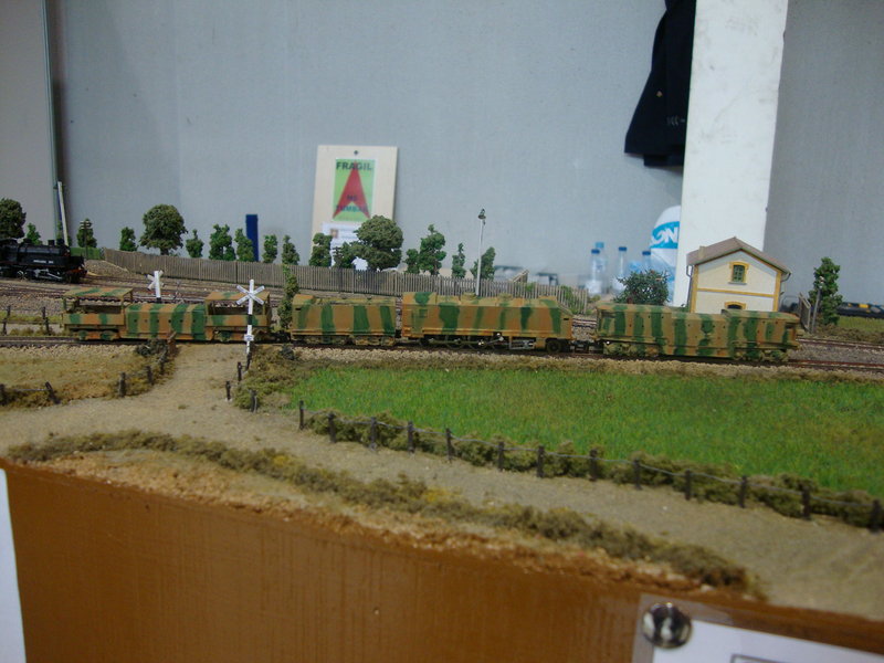 dsc05488m.jpg