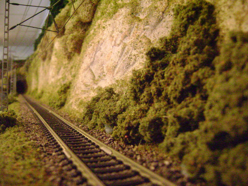 trenes-2 129.JPG