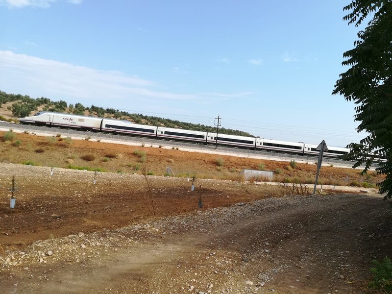 IMG-20190904-WA0016.jpg