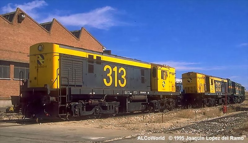 313.jpg