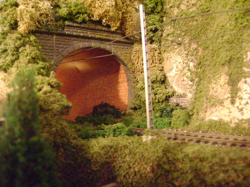 trenes-2 136.JPG
