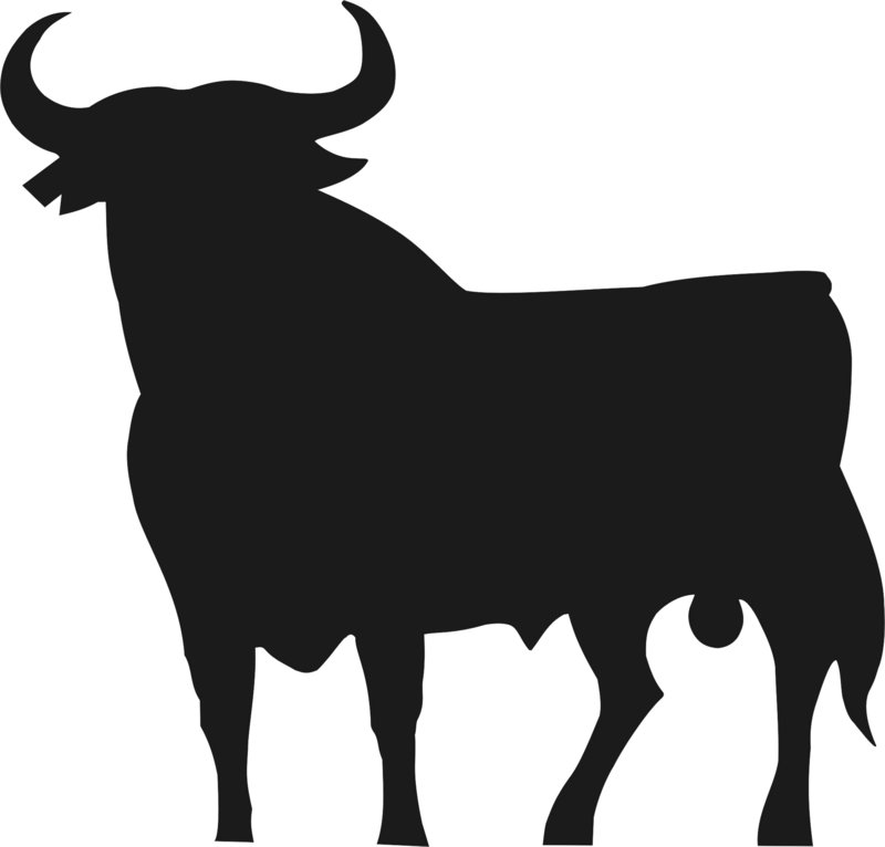 Toro1.JPG