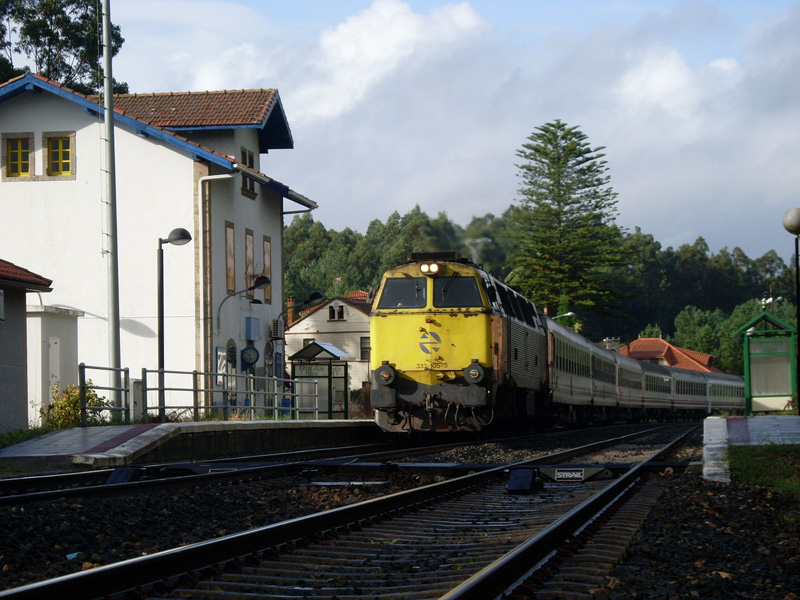 SL375555.JPG
