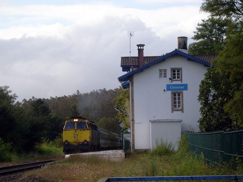 SL375561.JPG