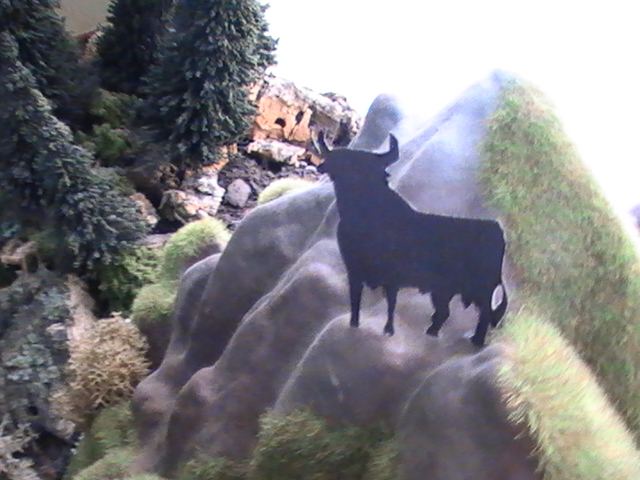 PIC_0510.JPG