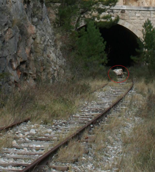 aIMG_3236.jpg