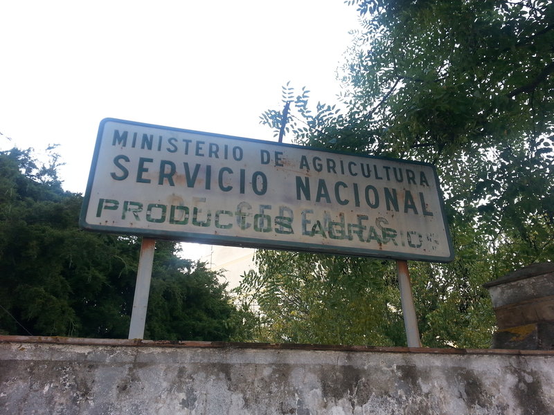 Jerez de la Frontera, 30.Oct.2016  (2).jpg