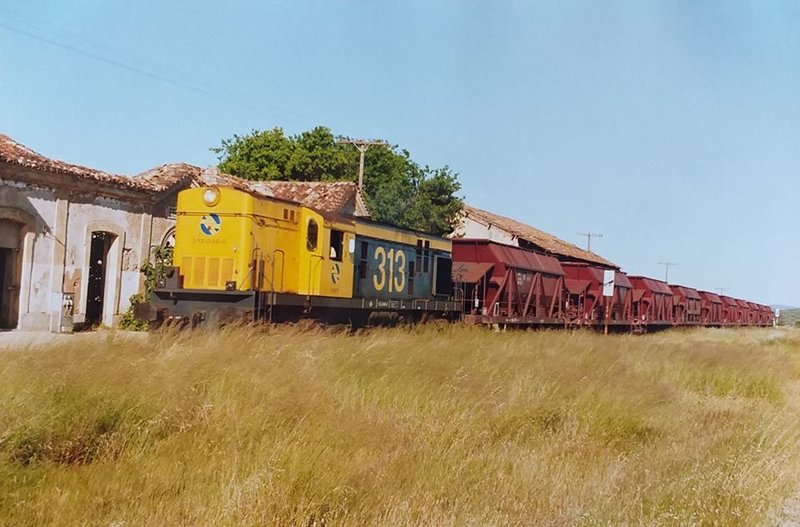 9184.jpg