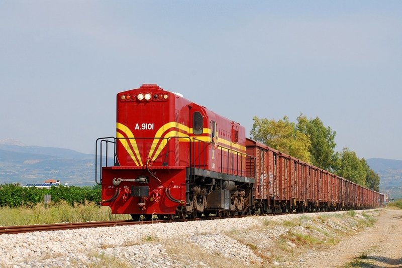 9206.jpg