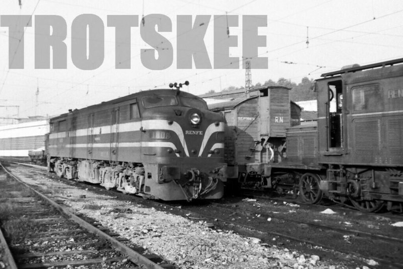 9185.jpg