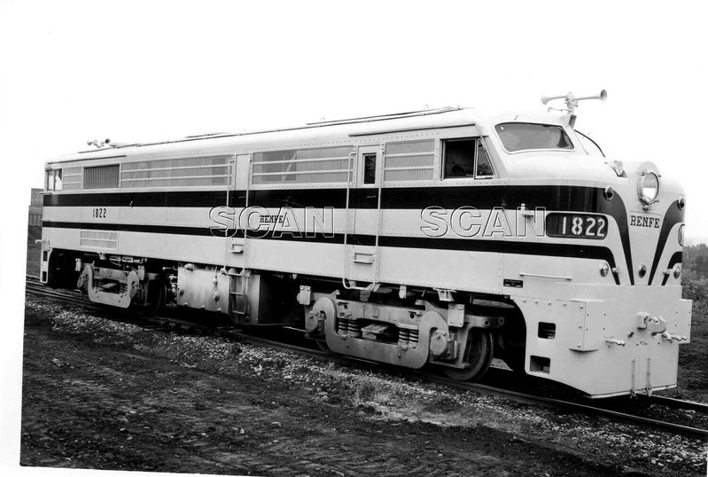 9177.jpg