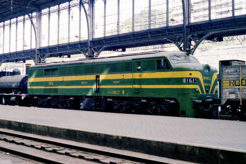 9243.jpg