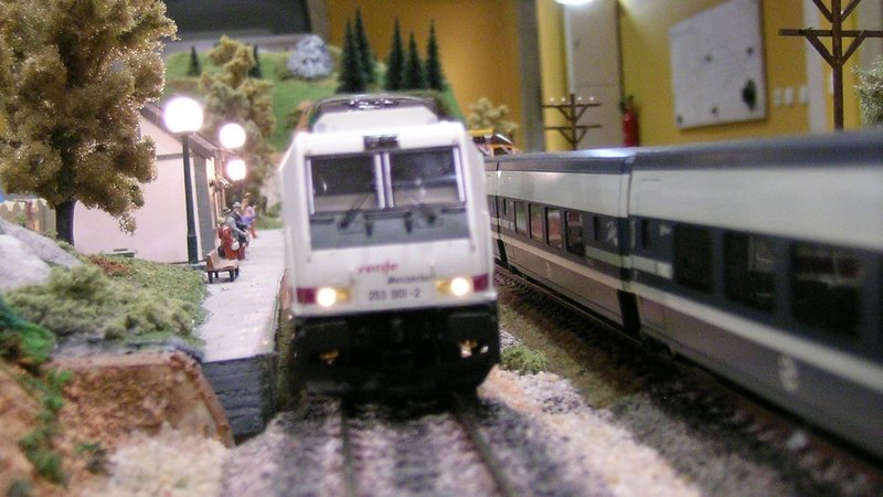 DSCN1601.JPG