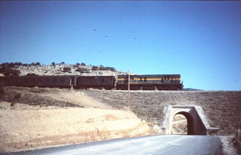 9645.jpg.jpg