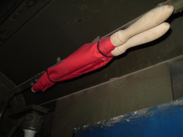 P1010254 (Small).JPG