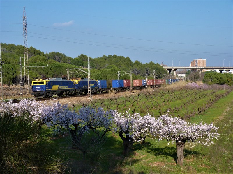 P1150589.JPG