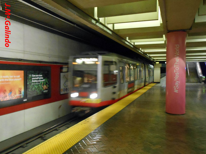 DSCN8718.jpg