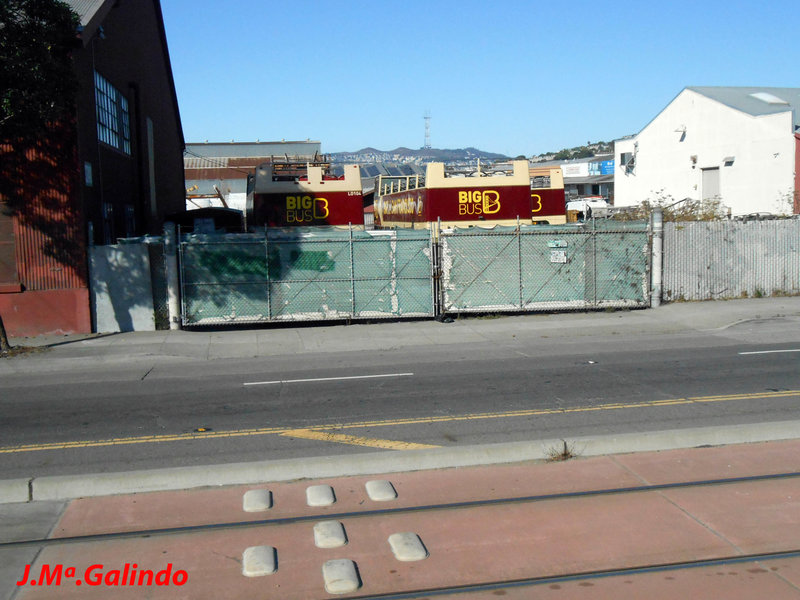 DSCN8755.jpg