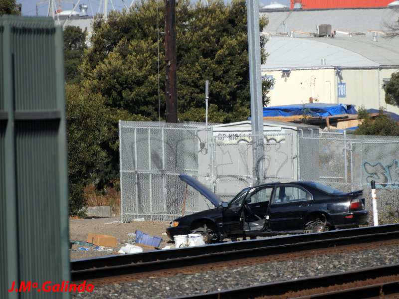 DSCN3948.jpg