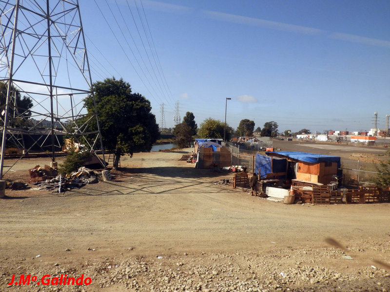 DSCN3983.jpg