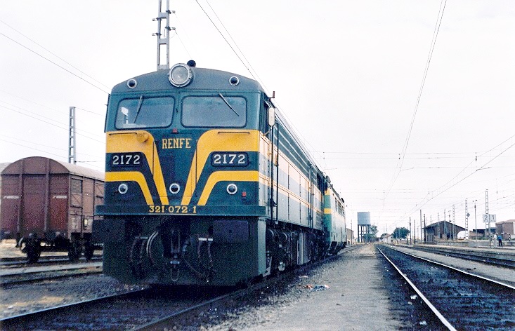 9231.jpg