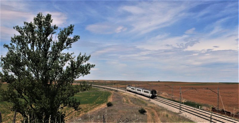L1560022.JPG