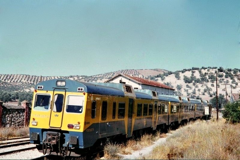 9166.jpg