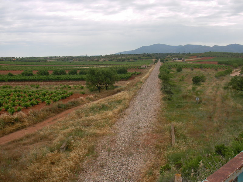 SANY0003.JPG