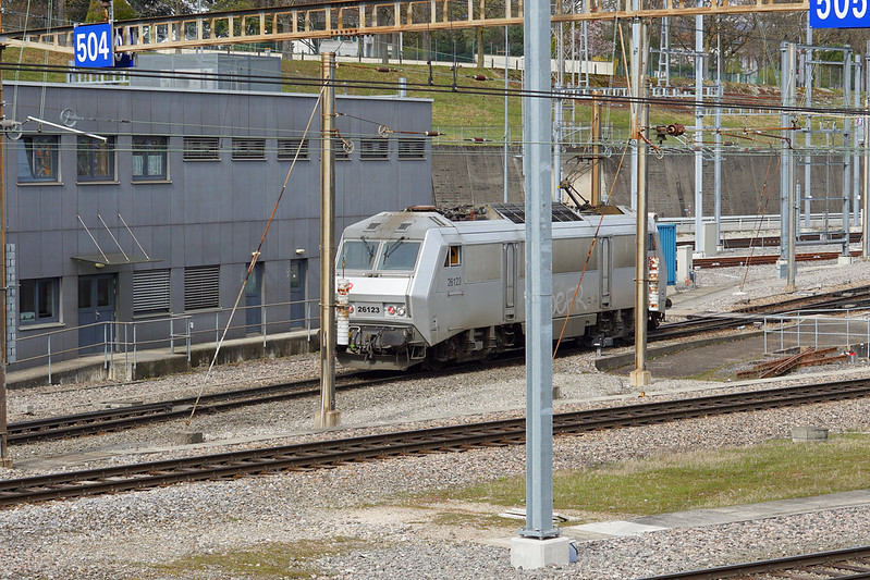 49652944536_24dc0ca6d6_c.jpg