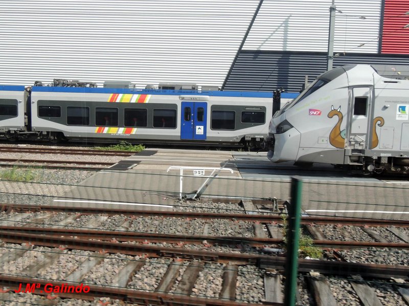 DSCN8012.jpg