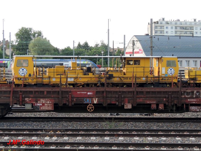 DSCN8050.jpg