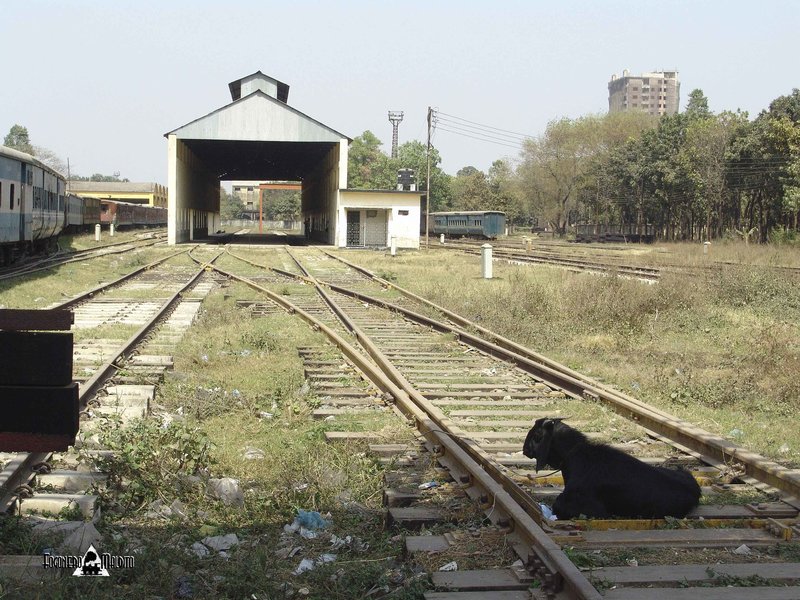 BANGLADESH (40).jpg