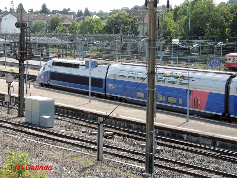 DSCN8594.jpg