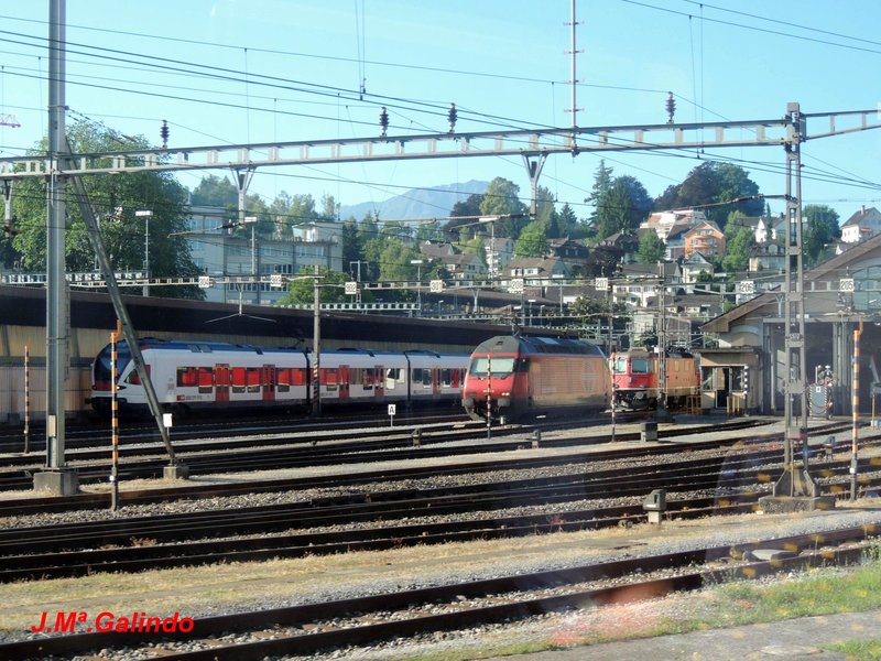 DSCN7868.jpg